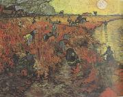 Vincent Van Gogh The Red Vineyard (nn04) USA oil painting artist